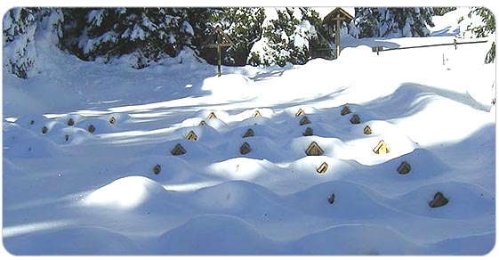 l'immagine rappresenta una veduta panoramica cimitero innevato del monte zebio