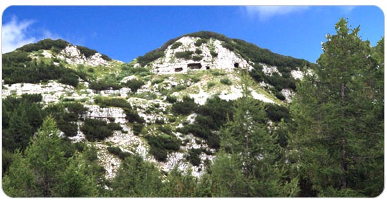 l'immagine rappresenta una veduta panoramica del Monte Forno e di malga Pozze