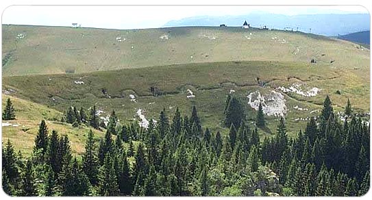 l'immagine rappresenta una veduta panoramica delle Melette di Foza