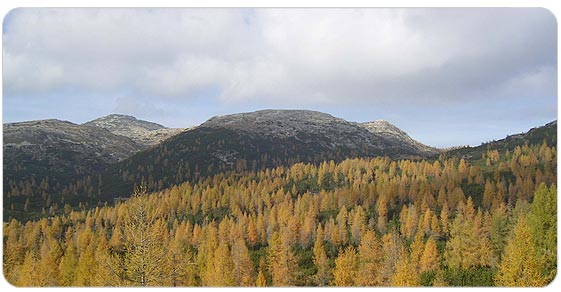 l'immagine rappresenta una veduta panoramica del Monte Ortigara